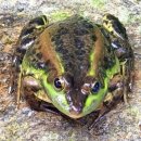 강원도자연환경연구공원 이미지