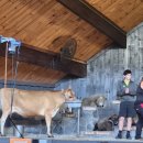 투어 팜(TOUR FARM) 이미지