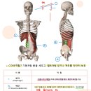 수성롯데캐슬더퍼스트2단지경로당 | 루프스 판정 후, 피곤한 일상에서 컨디션 최고가 되기까지.