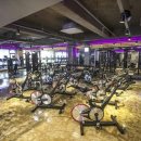 바디채널휘트니스 이미지