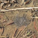 간촌공원 이미지