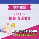 럭키공인중개사사무소 | 도마동 아파트 도마럭키 도마호반공인중개사사무소 매물