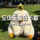 둘리인형뽑기 일동점 | 26년 5월 일상