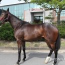 양일목장 이미지