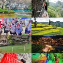 시장(채소전) | 자연의 품과 사람의 온기, 구이저우 시골에서 만난 진짜 중국 – EBS 세계테마기행