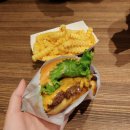 소호별장 | 미국 동부 패키지 여행, 캐나다 나이아가라 폭포 투어 후기