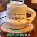 나나핏