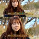 1인1닭 MBN