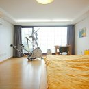 프리마 베라 이미지