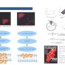 크라이오셀(Cryocell) 이미지