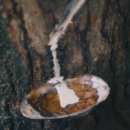 옻나무집 이미지