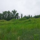 상주 병풍산 고분군 이미지