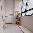 고양이 생활 호텔 이미지