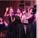 비볼코리아 이미지