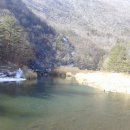 제비식당 이미지