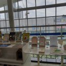 소담동도서관 이미지