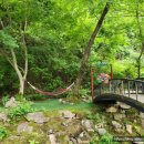 느티나무골펜션 이미지