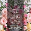 연분이야기