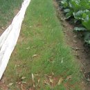 낙안농장 이미지