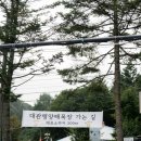 여름목장 | 평창 강릉 대관령 양떼목장 여름 방문 후기