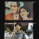블루스완 뉴스엔