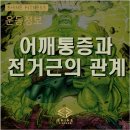 헐크헬스 이미지