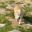 팜투테이블118