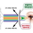 루체안경 이미지