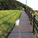 북울산주유소 이미지