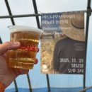 약나무마실 | 017. 2025년 버드나무 브루어리 미노리 논잔치 후기