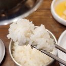 메기본가 | 문정동맛집 비 오는 날 생각나는 얼큰한 국물 메기매운탕 메기본가 후기