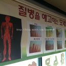 빛과솔