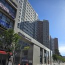 복현아이파크아파트경로당 | 대구 방충망 교체, 대구 북구 복현동 복현아이파크 벌레 걱정 끝내주는 교체 후기