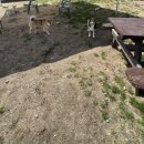 토리두두 이미지