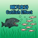 Catfish Effect and the Philosophy of Jinyoung Ssangkum Ryu 이미지