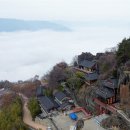 사성암 Daum카페
