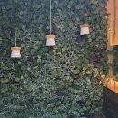 라곰디자인호텔 이미지