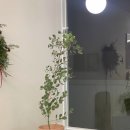 홍정농장 네이버블로그