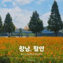 함안 능가사 칠성탱 | 창녕 남지체육공원에서 함안 능가사까지 뚜벅이여행