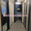 골든싱어 코인 네이버블로그