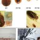 주식회사현곡 네이버블로그
