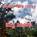 용안농약사 이미지