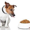 (주)허미 이미지