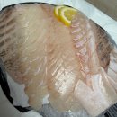 레몬비 남동점 | 소래포구 횟집 진경이네수산 신선함이 가득했던 회 포장 후기