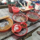 남창시장 이미지