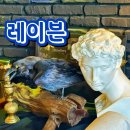 대구 동성로 카페 라떼가 맛있는 레이븐