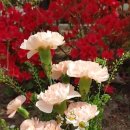 등대부동산공인중개사사무소 이미지