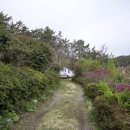 일월애관광농원 이미지