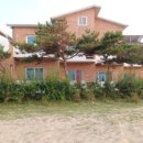 학암포 황금펜션 이미지