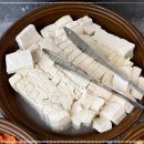 황금코다리 이미지